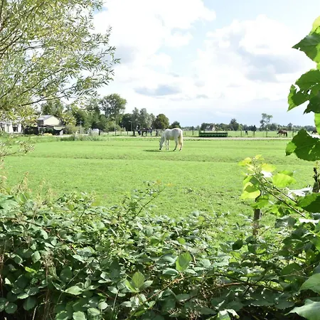 Boerderij * Bergen